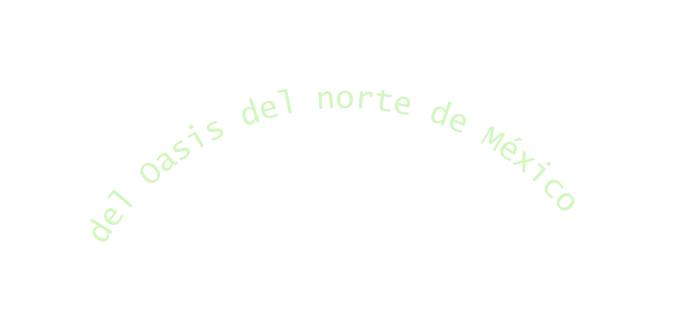 del Oasis del norte de México